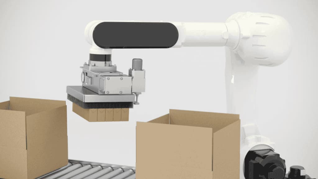 DNC Case Packing Robot