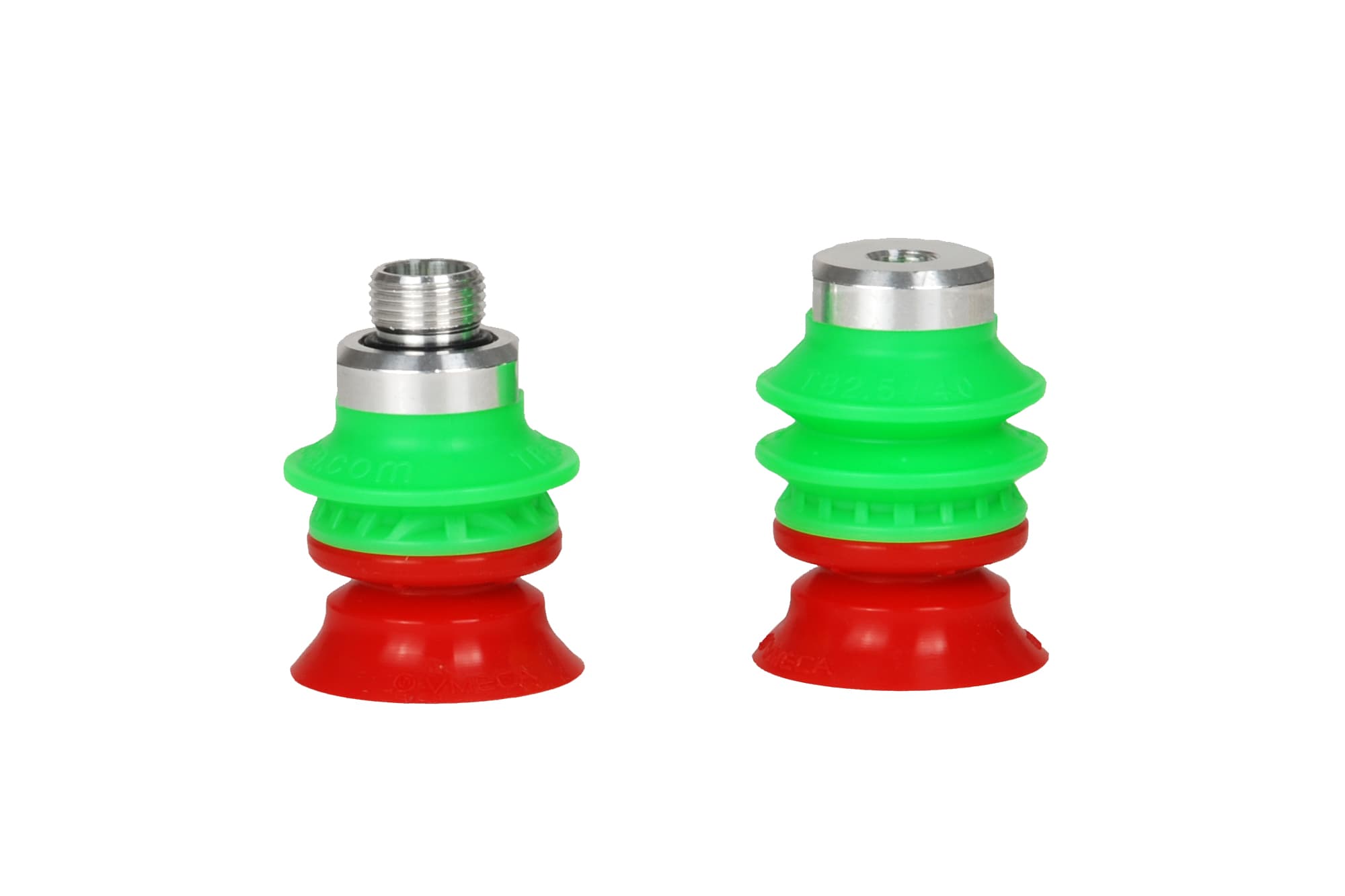 Magic Cup DD-Type